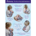Wall Poster Positioning - The Key to Successful Breastfeeding 1 Copy